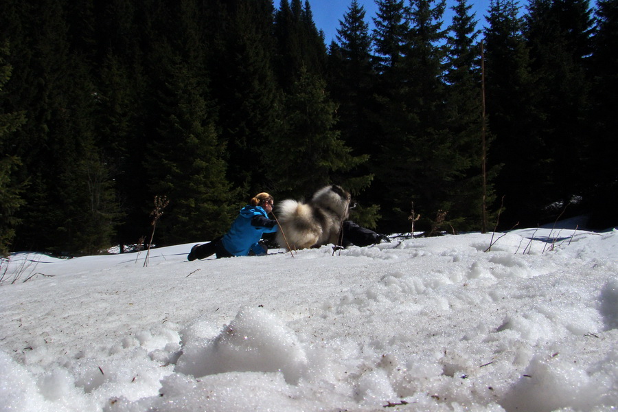 Kráľova hoľa z Pustého poľa (Nízke Tatry)