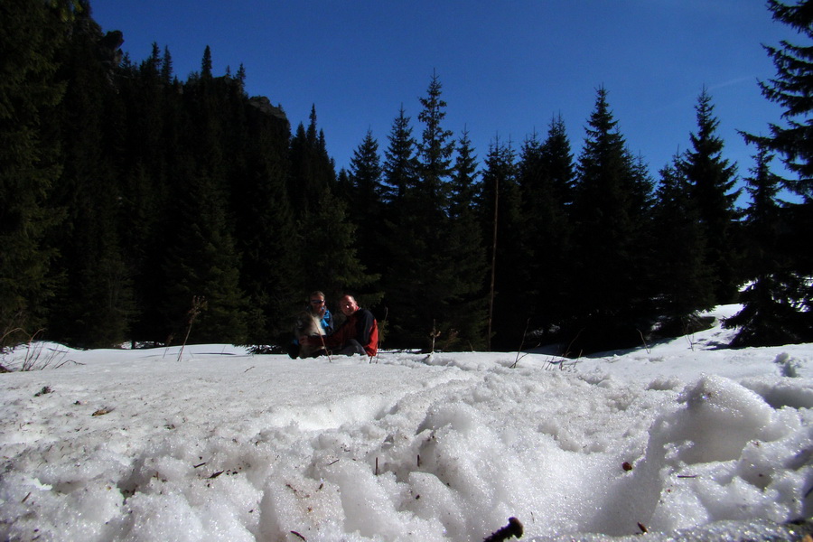 Kráľova hoľa z Pustého poľa (Nízke Tatry)