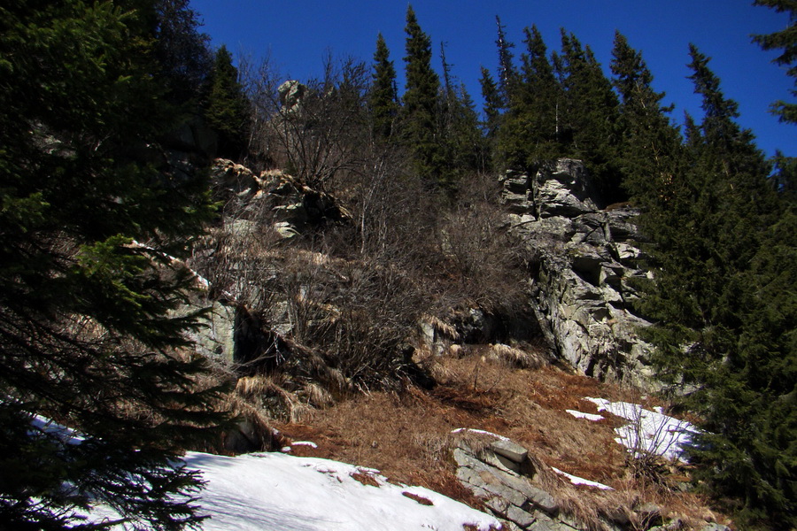 Kráľova hoľa z Pustého poľa (Nízke Tatry)