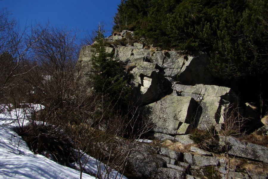 Kráľova hoľa z Pustého poľa (Nízke Tatry)