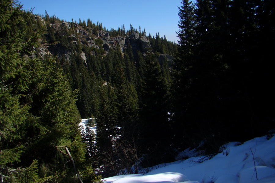 Kráľova hoľa z Pustého poľa (Nízke Tatry)