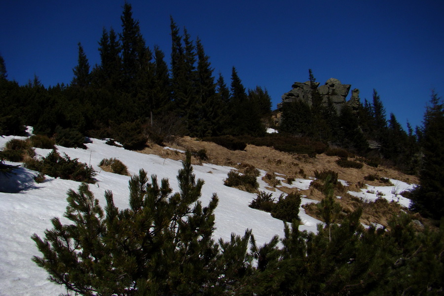 Kráľova hoľa z Pustého poľa (Nízke Tatry)