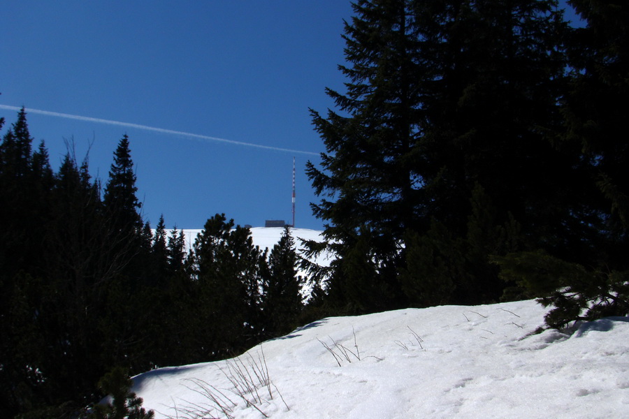 Kráľova hoľa z Pustého poľa (Nízke Tatry)