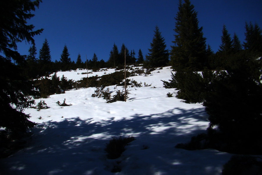 Kráľova hoľa z Pustého poľa (Nízke Tatry)