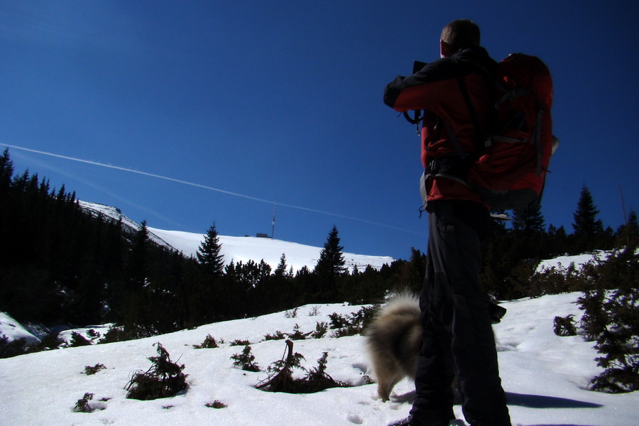 Kráľova hoľa z Pustého poľa (Nízke Tatry)