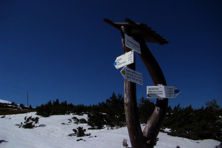 Kráľova hoľa z Pustého poľa (Nízke Tatry)