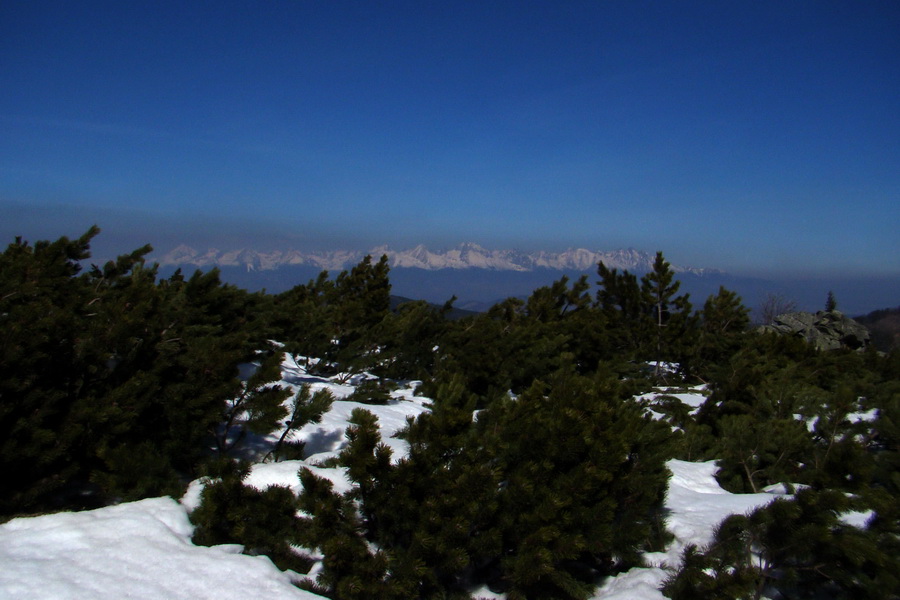 Kráľova hoľa z Pustého poľa (Nízke Tatry)