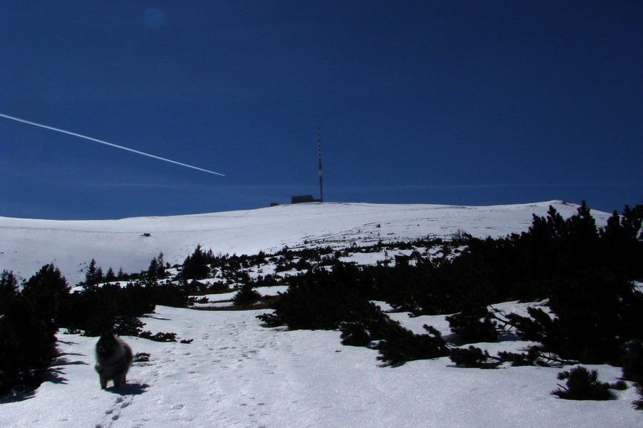 Kráľova hoľa z Pustého poľa (Nízke Tatry)