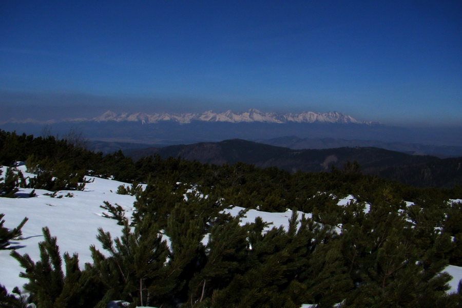 Kráľova hoľa z Pustého poľa (Nízke Tatry)