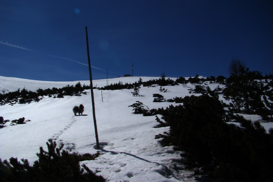 Kráľova hoľa z Pustého poľa (Nízke Tatry)