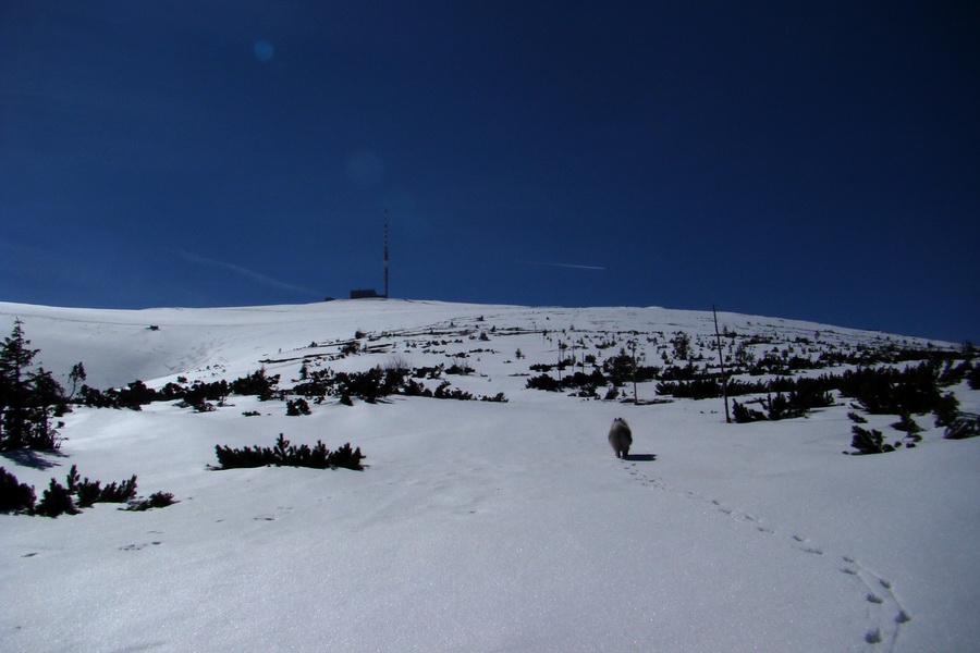 Kráľova hoľa z Pustého poľa (Nízke Tatry)