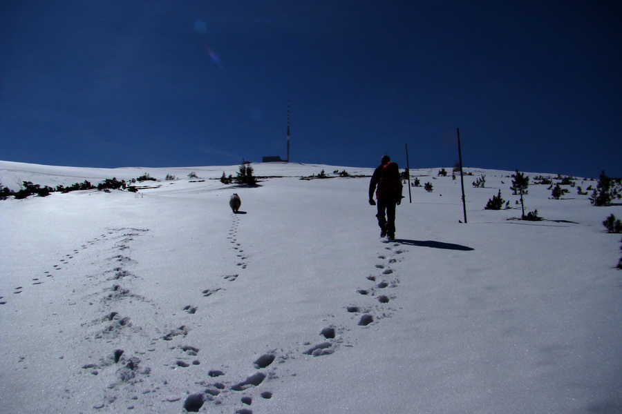 Kráľova hoľa z Pustého poľa (Nízke Tatry)