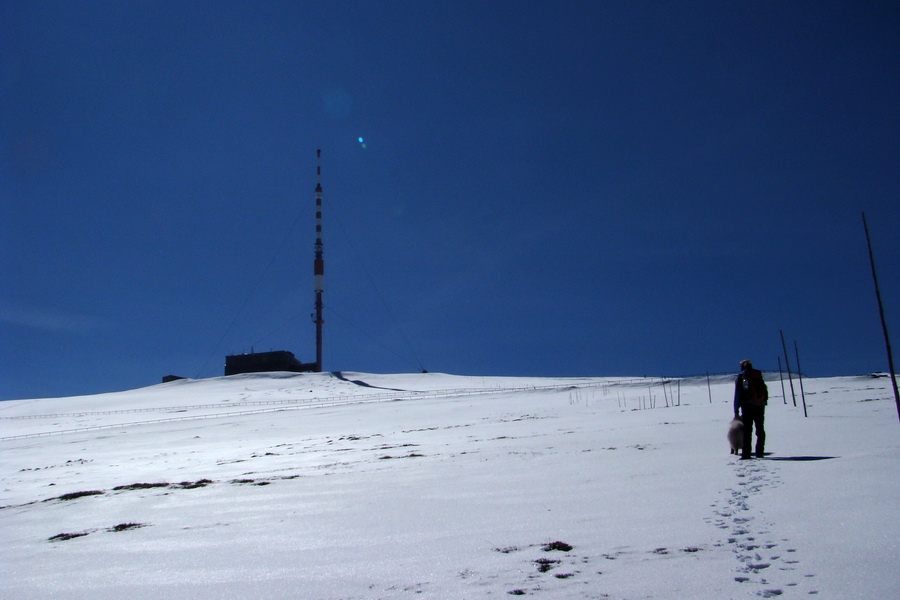 Kráľova hoľa z Pustého poľa (Nízke Tatry)