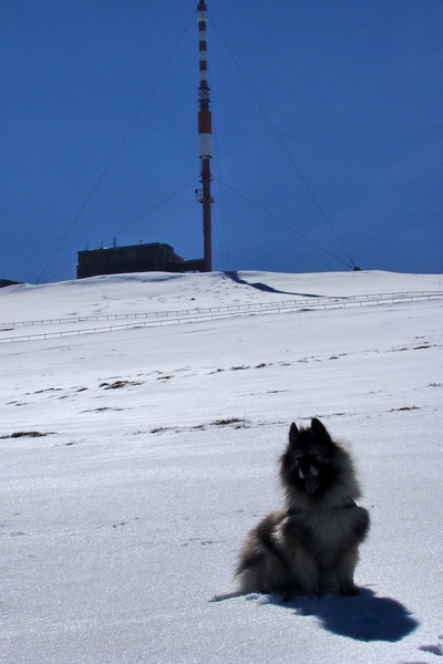 Kráľova hoľa z Pustého poľa (Nízke Tatry)