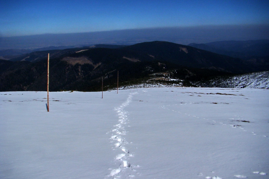 Kráľova hoľa z Pustého poľa (Nízke Tatry)