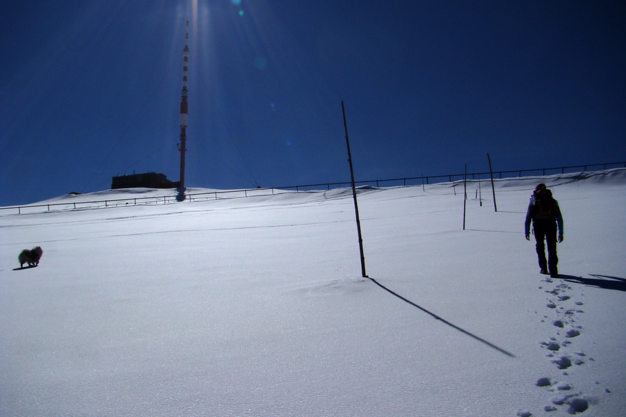 Kráľova hoľa z Pustého poľa (Nízke Tatry)