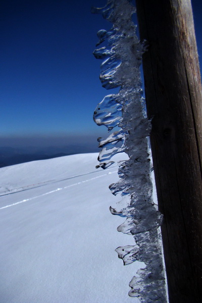 Kráľova hoľa z Pustého poľa (Nízke Tatry)