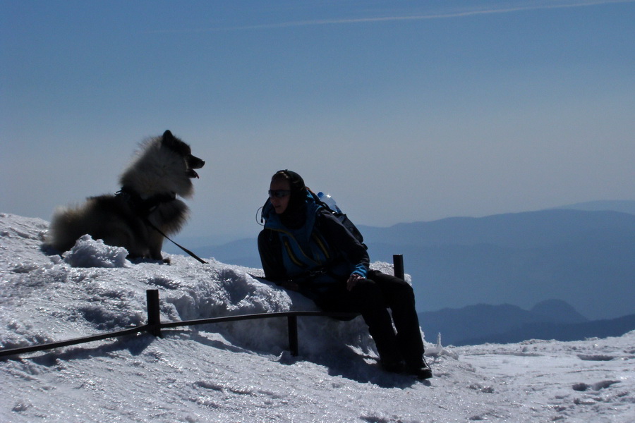 Kráľova hoľa z Pustého poľa (Nízke Tatry)