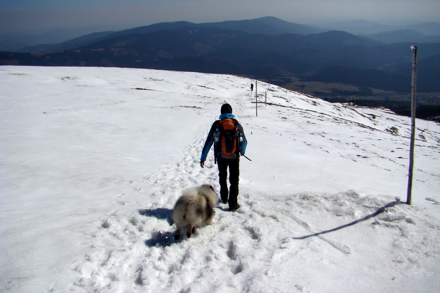 Kráľova hoľa z Pustého poľa (Nízke Tatry)