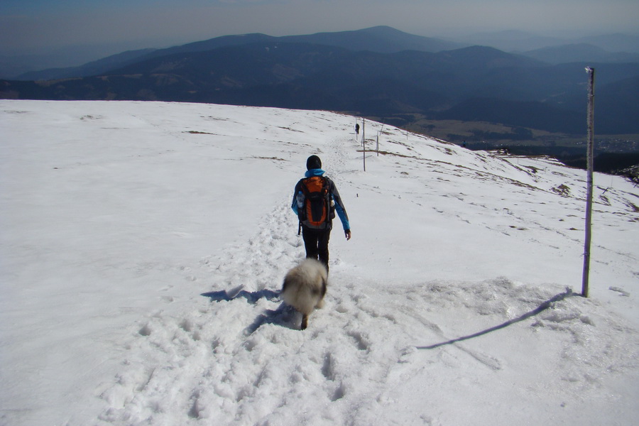 Kráľova hoľa z Pustého poľa (Nízke Tatry)