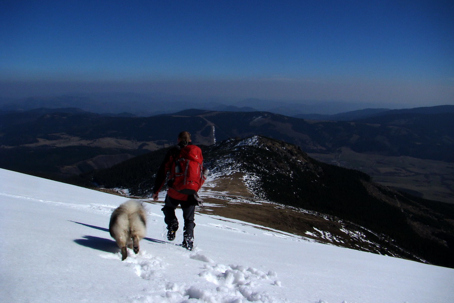 Kráľova hoľa z Pustého poľa (Nízke Tatry)