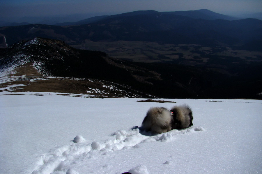 Kráľova hoľa z Pustého poľa (Nízke Tatry)