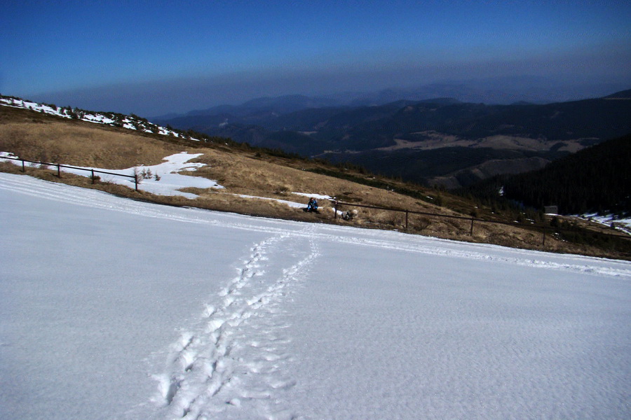 Kráľova hoľa z Pustého poľa (Nízke Tatry)