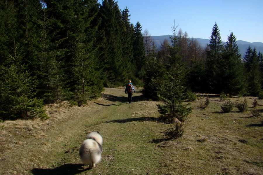 Kráľova hoľa z Pustého poľa (Nízke Tatry)