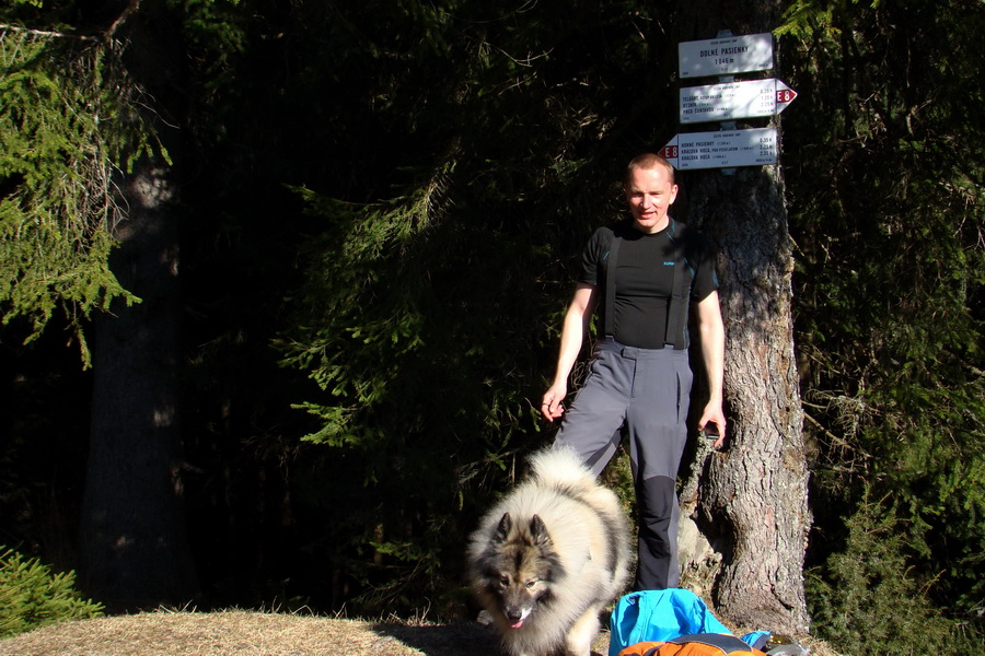 Kráľova hoľa z Pustého poľa (Nízke Tatry)