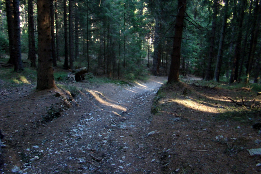 Kráľova hoľa z Pustého poľa (Nízke Tatry)