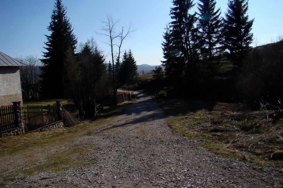 Kráľova hoľa z Pustého poľa (Nízke Tatry)