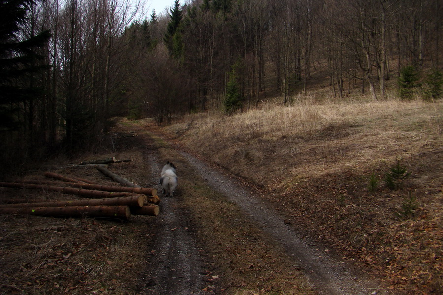 Občasný prameň z Mlyniek (Slovenský raj)