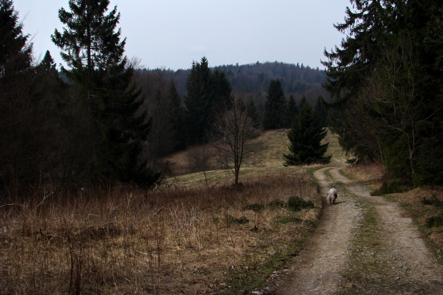 Občasný prameň z Mlyniek (Slovenský raj)