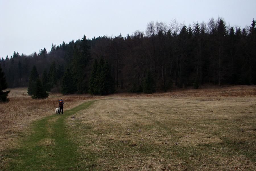 Občasný prameň z Mlyniek (Slovenský raj)