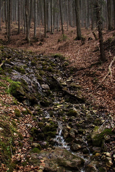 Občasný prameň z Mlyniek (Slovenský raj)