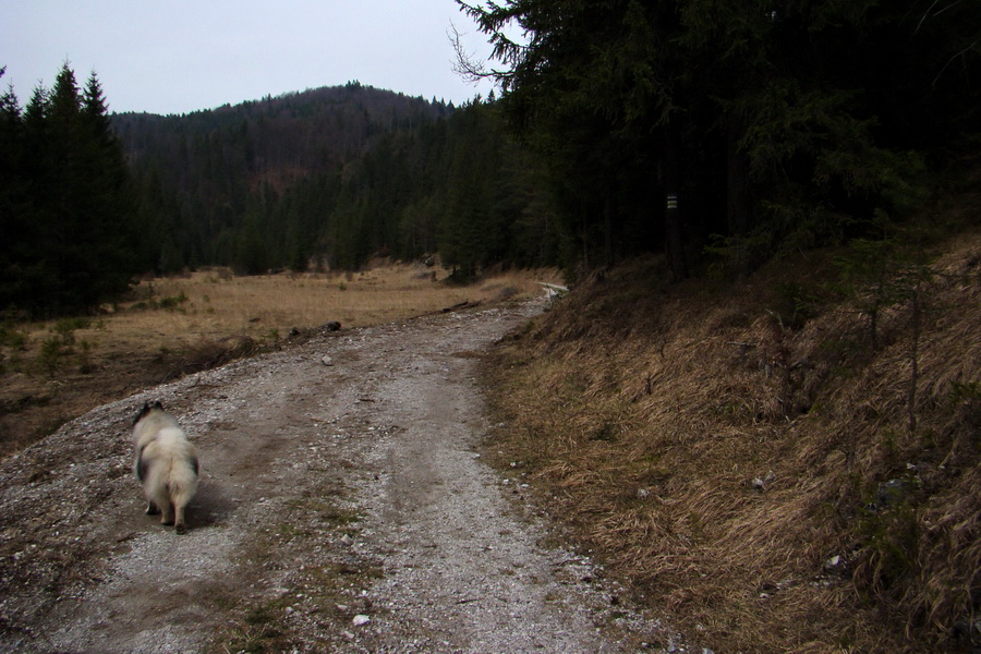 Občasný prameň z Mlyniek (Slovenský raj)