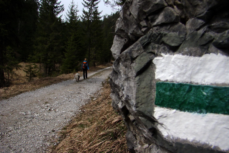 Občasný prameň z Mlyniek (Slovenský raj)