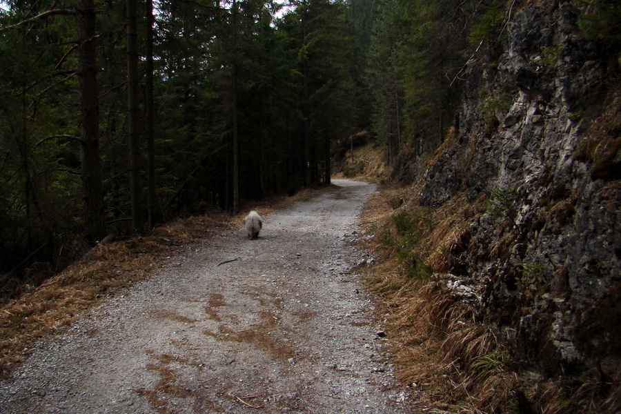 Občasný prameň z Mlyniek (Slovenský raj)