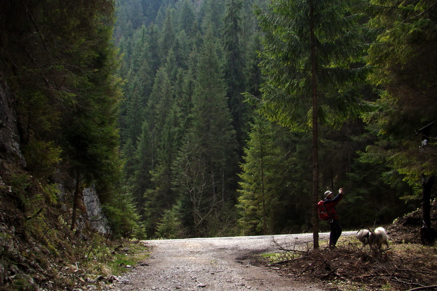 Občasný prameň z Mlyniek (Slovenský raj)