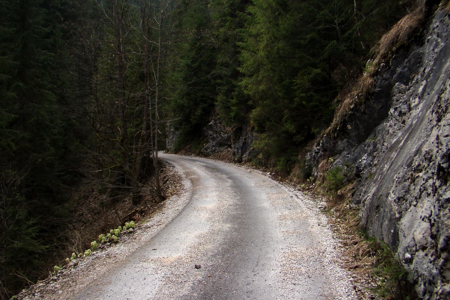 Občasný prameň z Mlyniek (Slovenský raj)