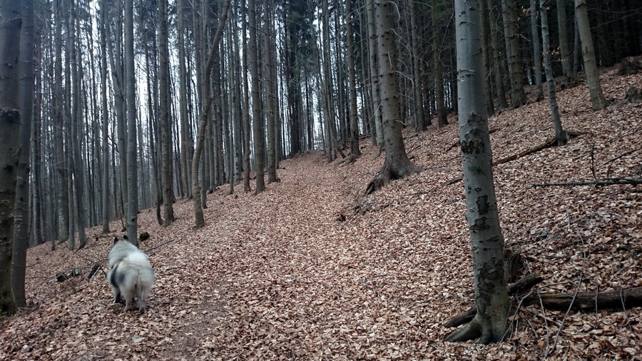 Občasný prameň z Mlyniek (Slovenský raj)