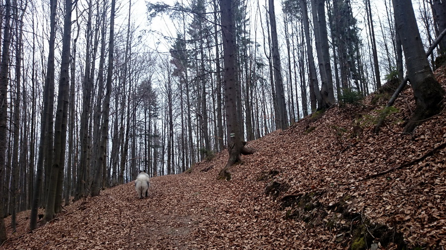 Občasný prameň z Mlyniek (Slovenský raj)