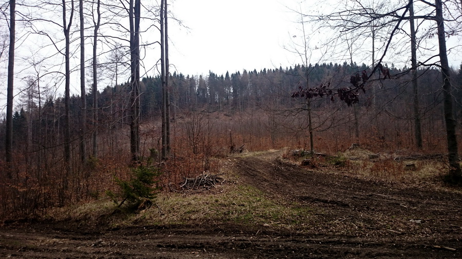 Občasný prameň z Mlyniek (Slovenský raj)