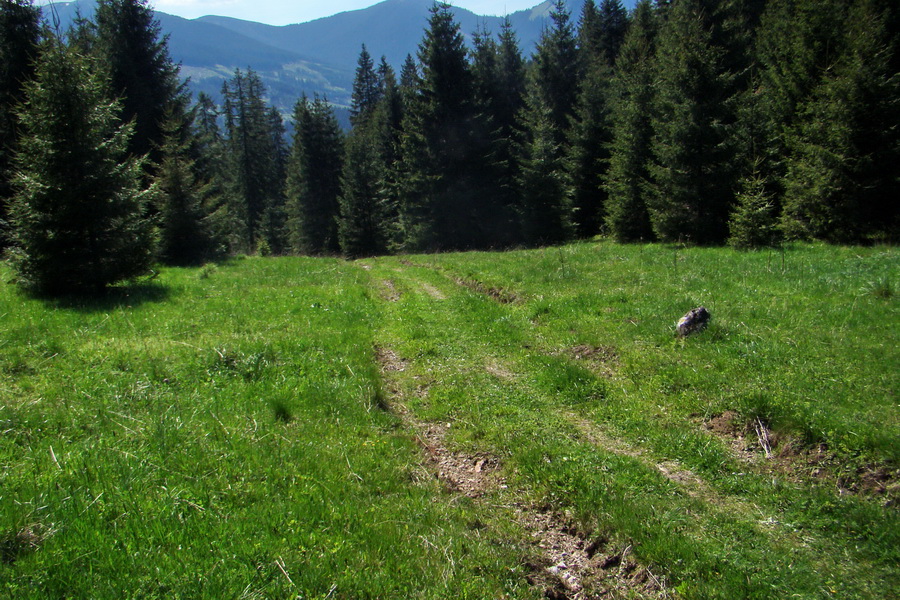 zostup k horárni pred Bystrou