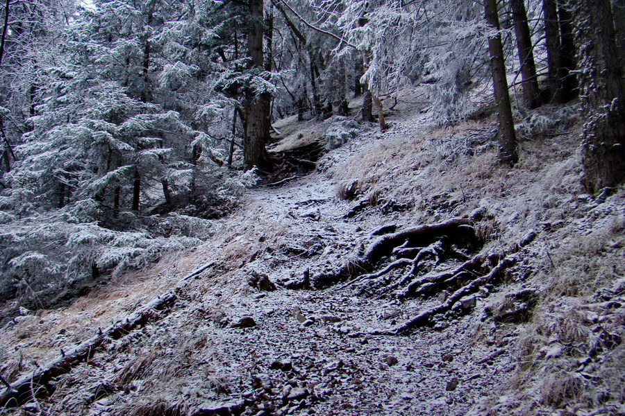 Poludnica z Liptovského Jána (Nízke Tatry)