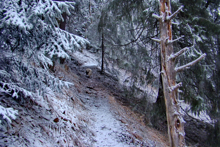 Poludnica z Liptovského Jána (Nízke Tatry)