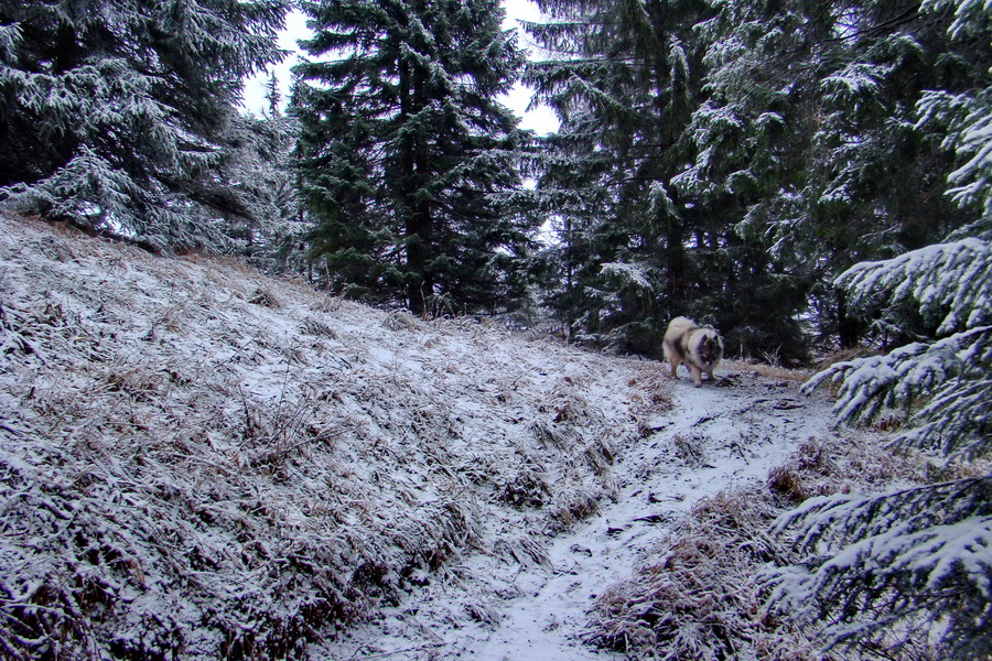 Poludnica z Liptovského Jána (Nízke Tatry)