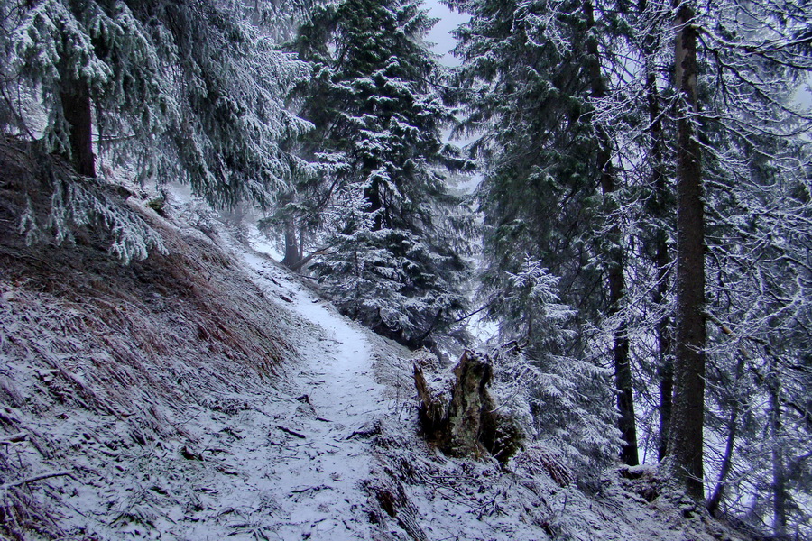 Poludnica z Liptovského Jána (Nízke Tatry)