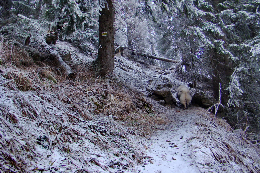 Poludnica z Liptovského Jána (Nízke Tatry)