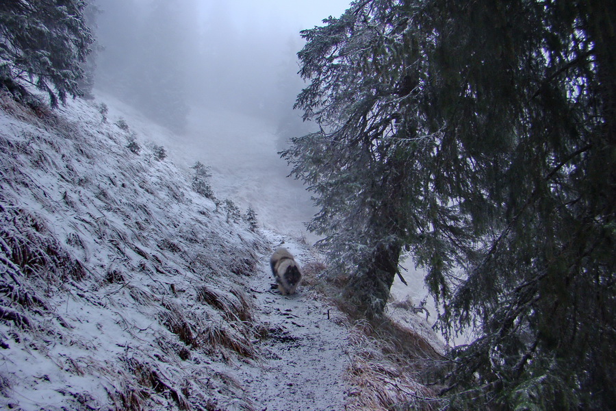 Poludnica z Liptovského Jána (Nízke Tatry)